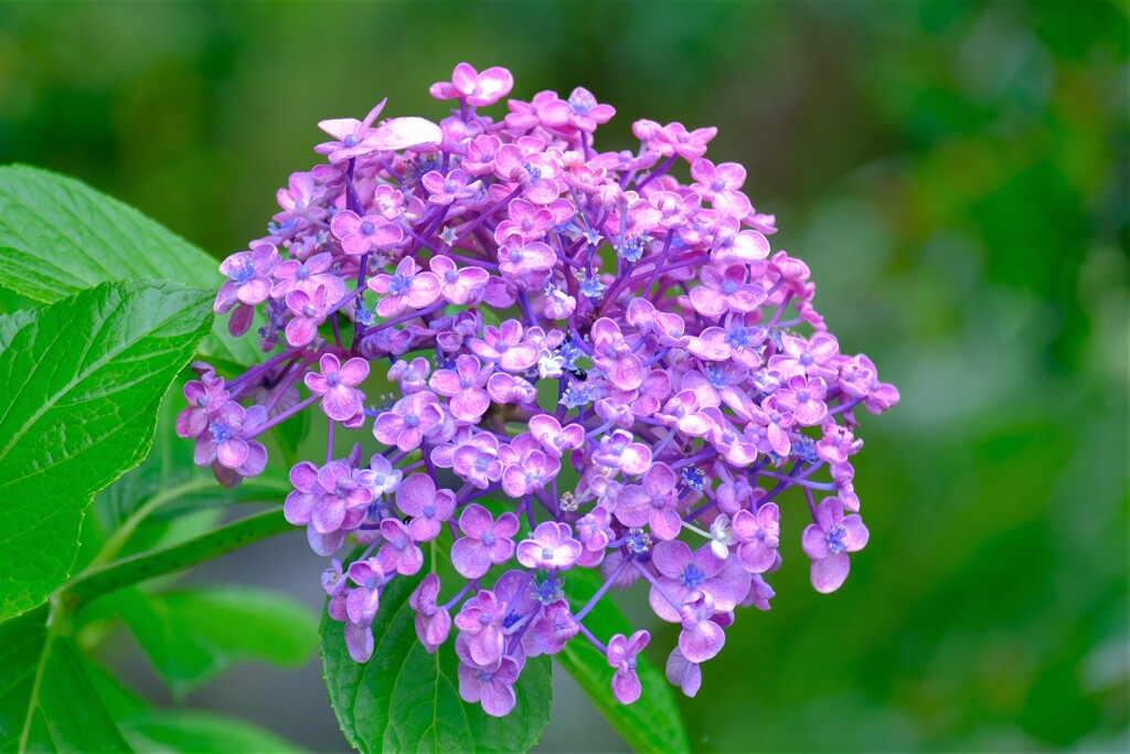 散歩の途中で。２