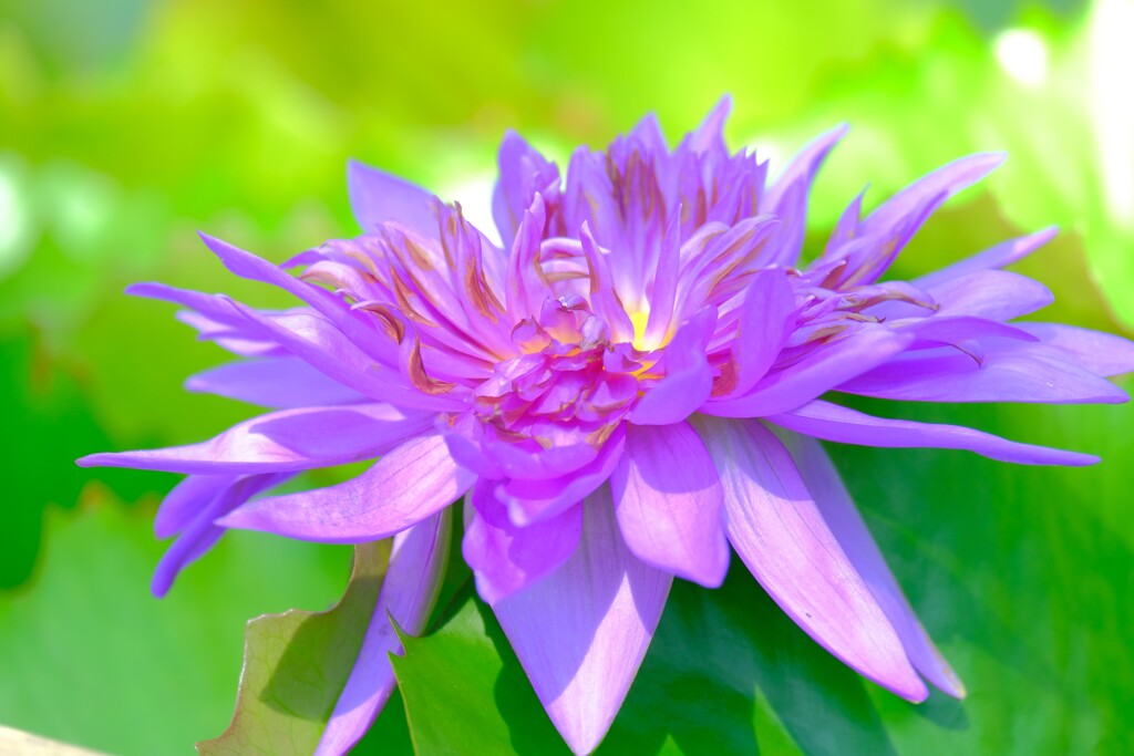 散歩の途中で。１