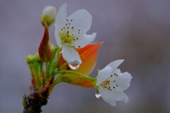 散歩の途中で。8