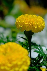 散歩の途中で。Ⅰ