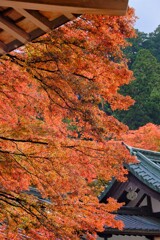 散歩の途中で　遠出⑤