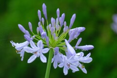 散歩の途中で。