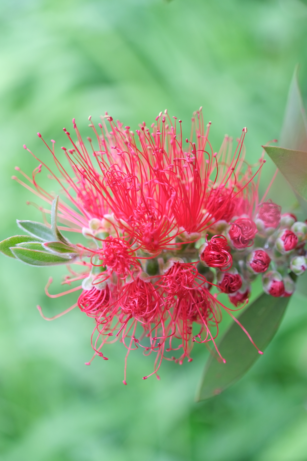 散歩の途中で。①