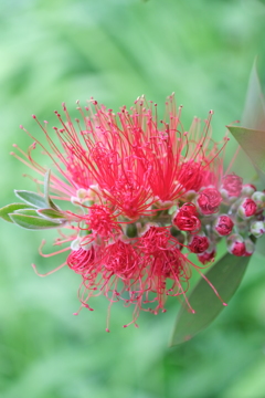 散歩の途中で。①