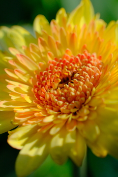 散歩の途中で。Ⅲ