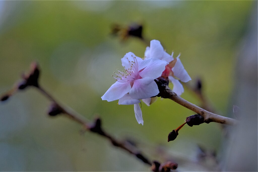 散歩の途中で。Ⅰ