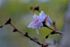 散歩の途中で。Ⅰ