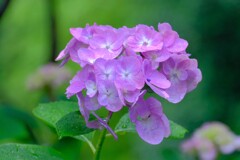 散歩の途中で。８