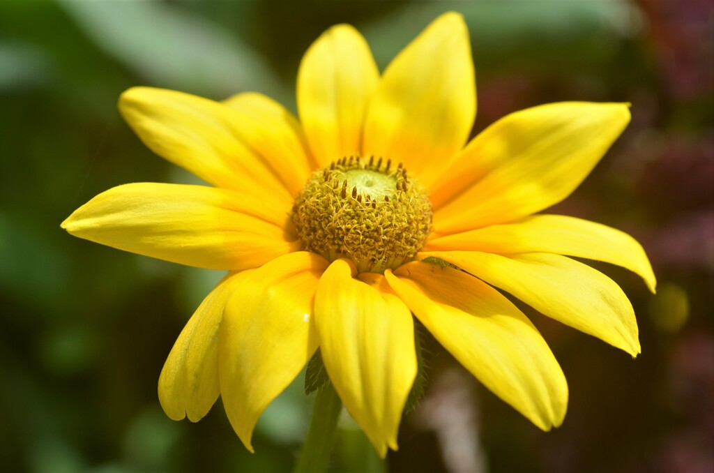 散歩の途中で。Ⅲ