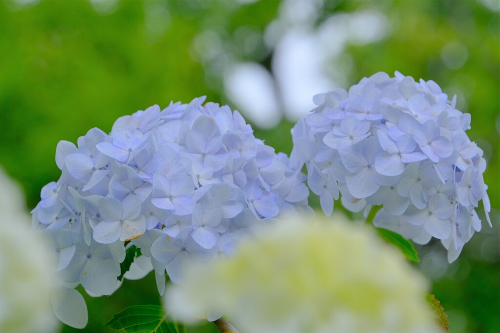 散歩の途中で。②