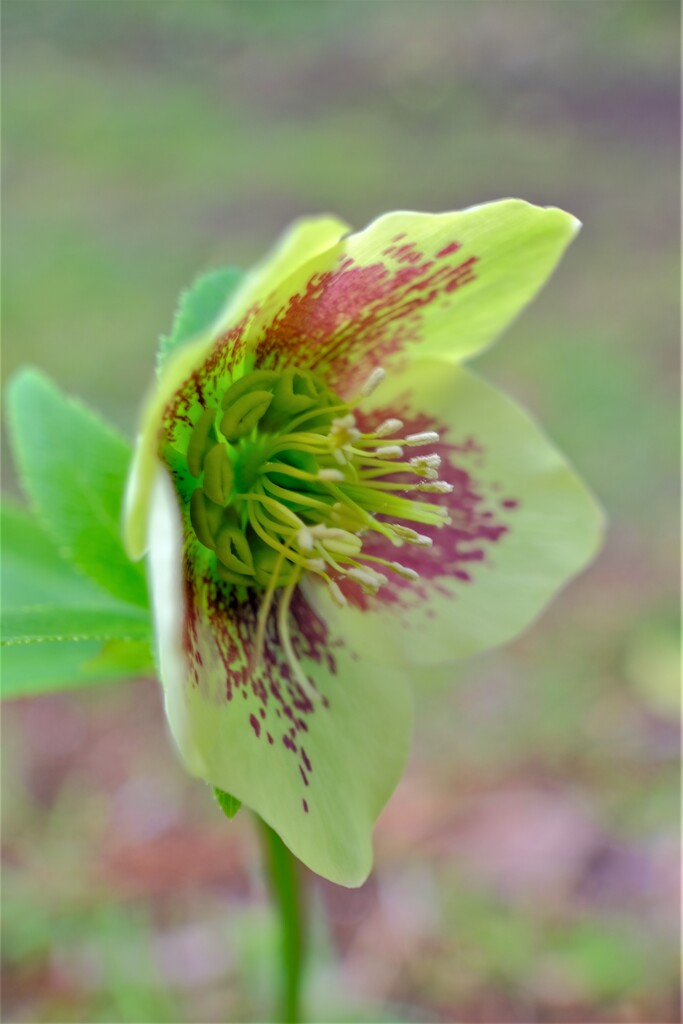 散歩の途中で。Ⅳ