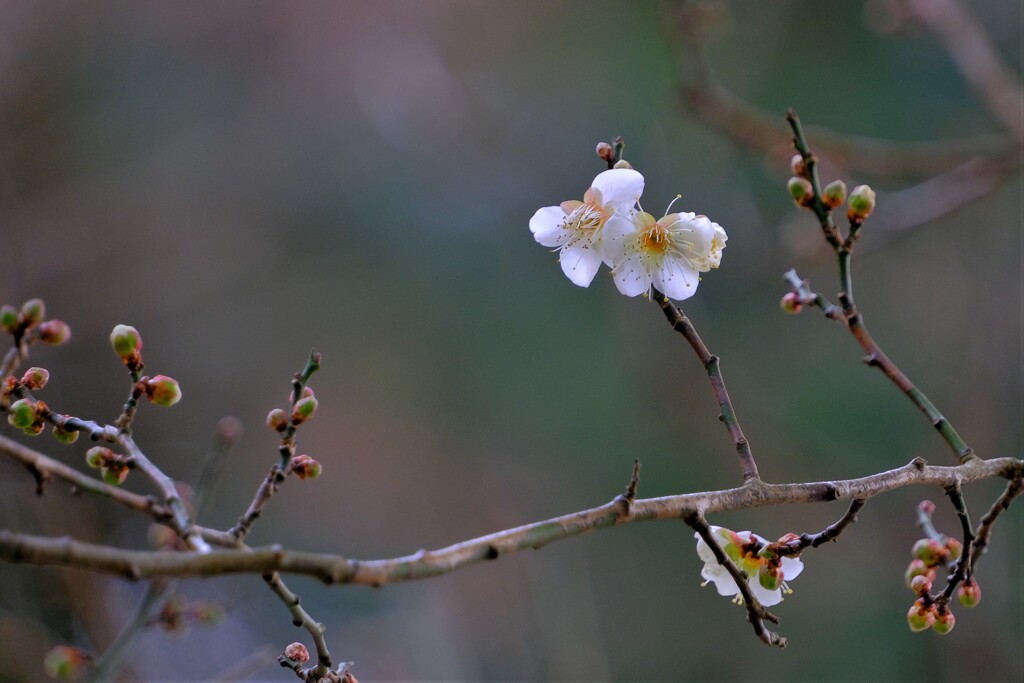 散歩の途中で。Ⅳ