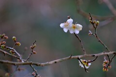 散歩の途中で。Ⅳ