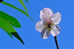 散歩の途中で。4