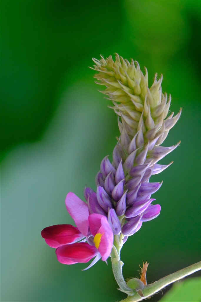 散歩の途中で。３