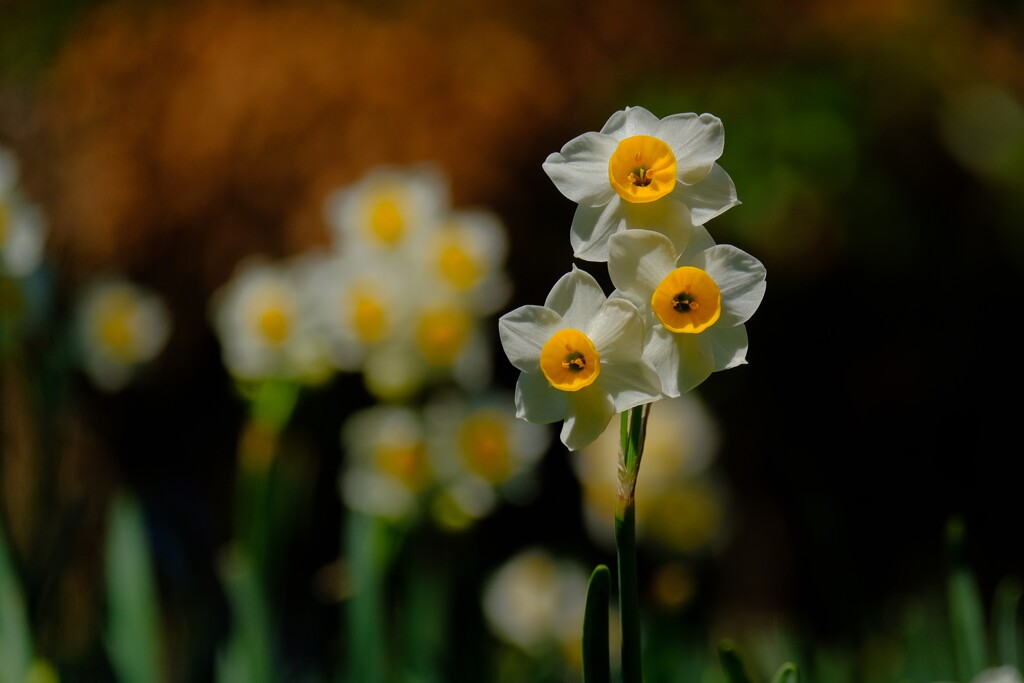 散歩の途中で、5