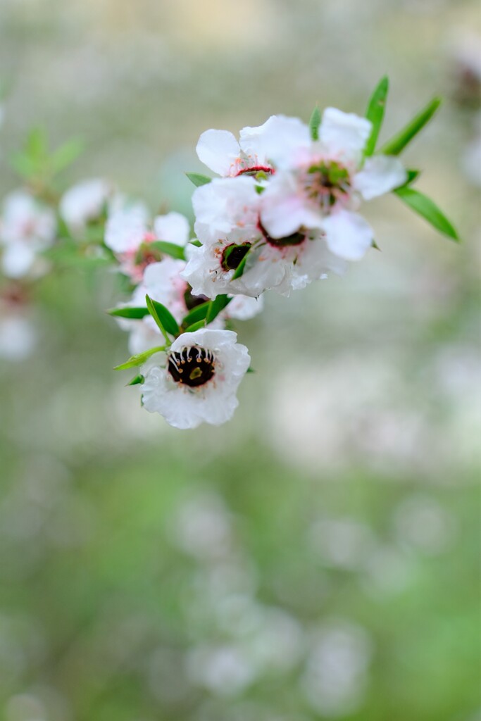 散歩の途中で。Ⅺ