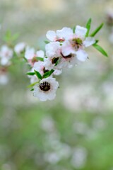 散歩の途中で。Ⅺ