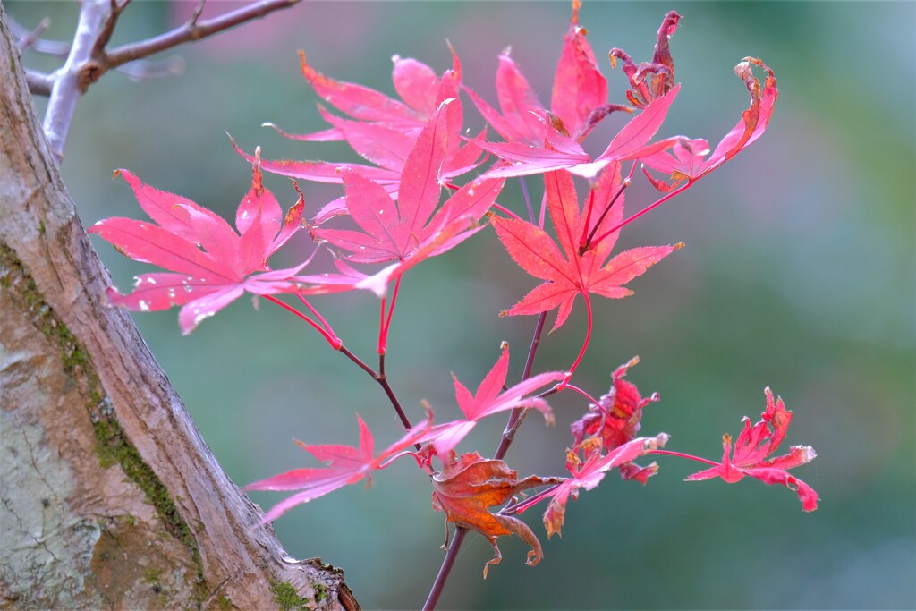 散歩の途中で。Ⅹ