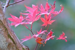 散歩の途中で。Ⅹ