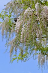 散歩の途中で。Ⅴ