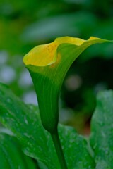 散歩の途中で。③