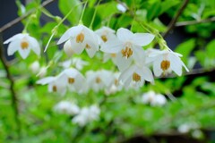 散歩の途中で。Ⅻ