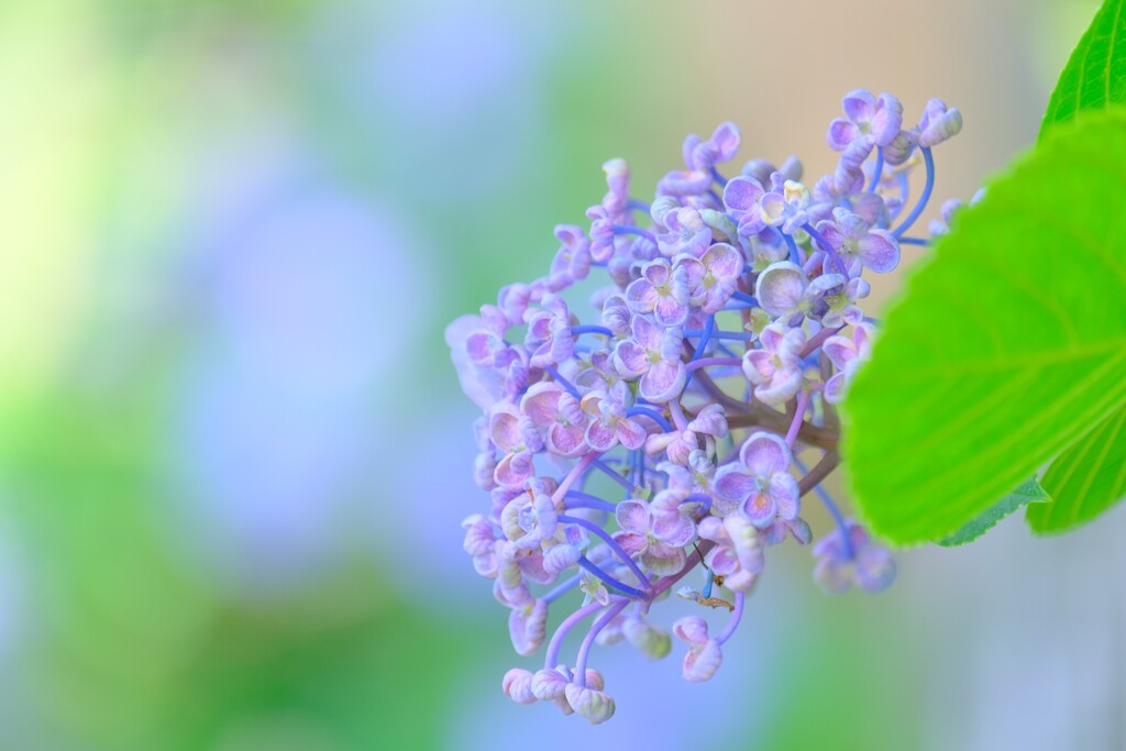 散歩の途中で。