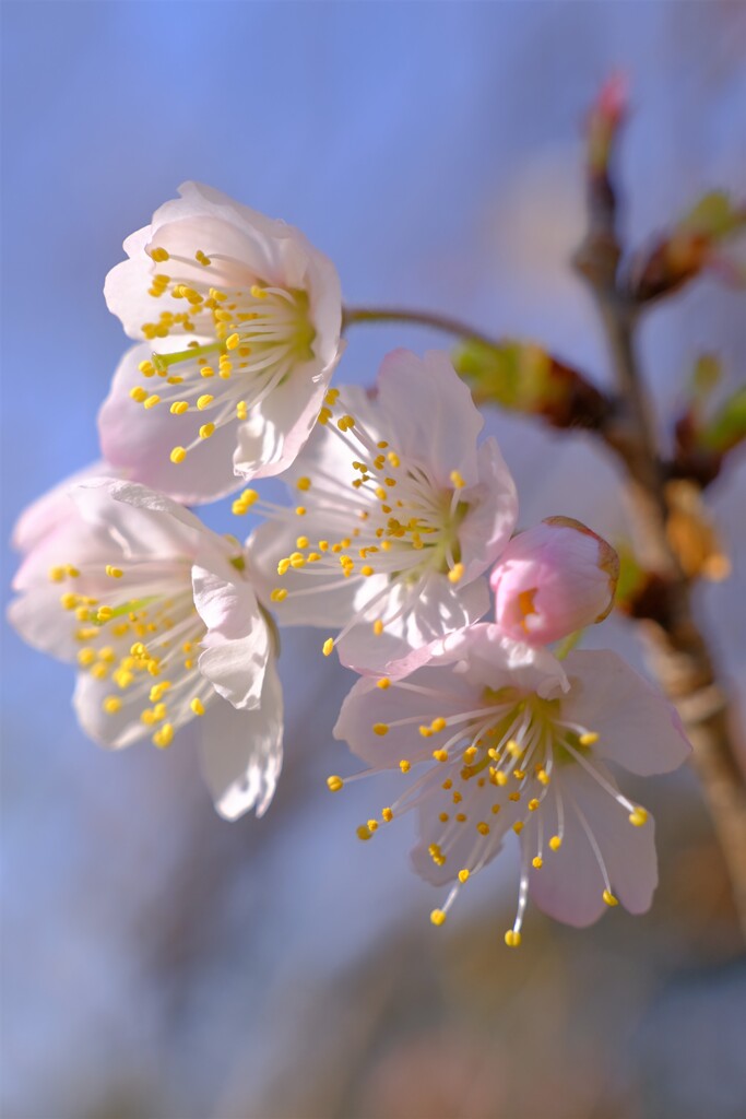 散歩の途中で。６