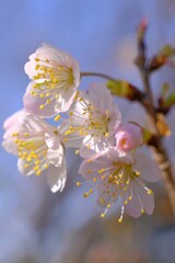 散歩の途中で。６