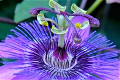 散歩の途中で。１０