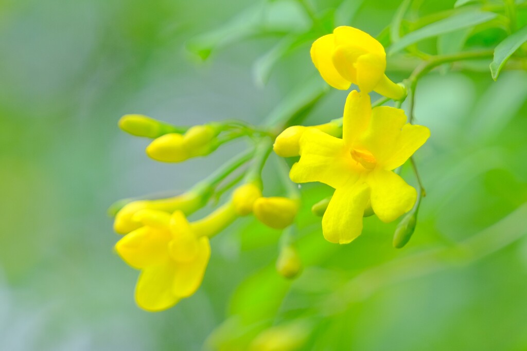 散歩の途中で。