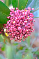 散歩の途中で。８