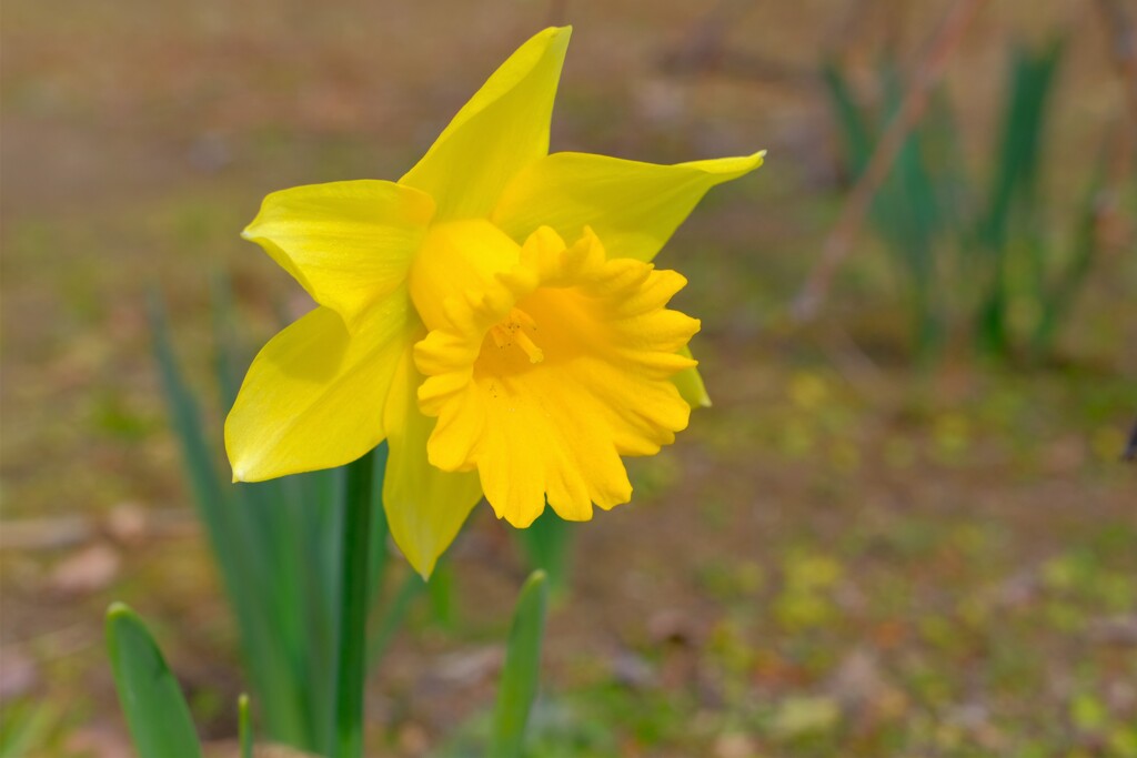 散歩の途中で。Ⅲ