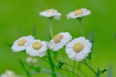 散歩の途中で。3