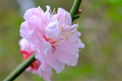 散歩の途中で。②