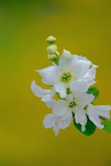 散歩の途中で。Ⅸ