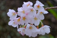 散歩の途中で。Ⅸ