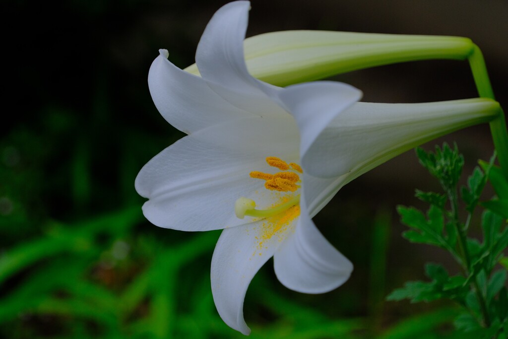 散歩の途中で。2