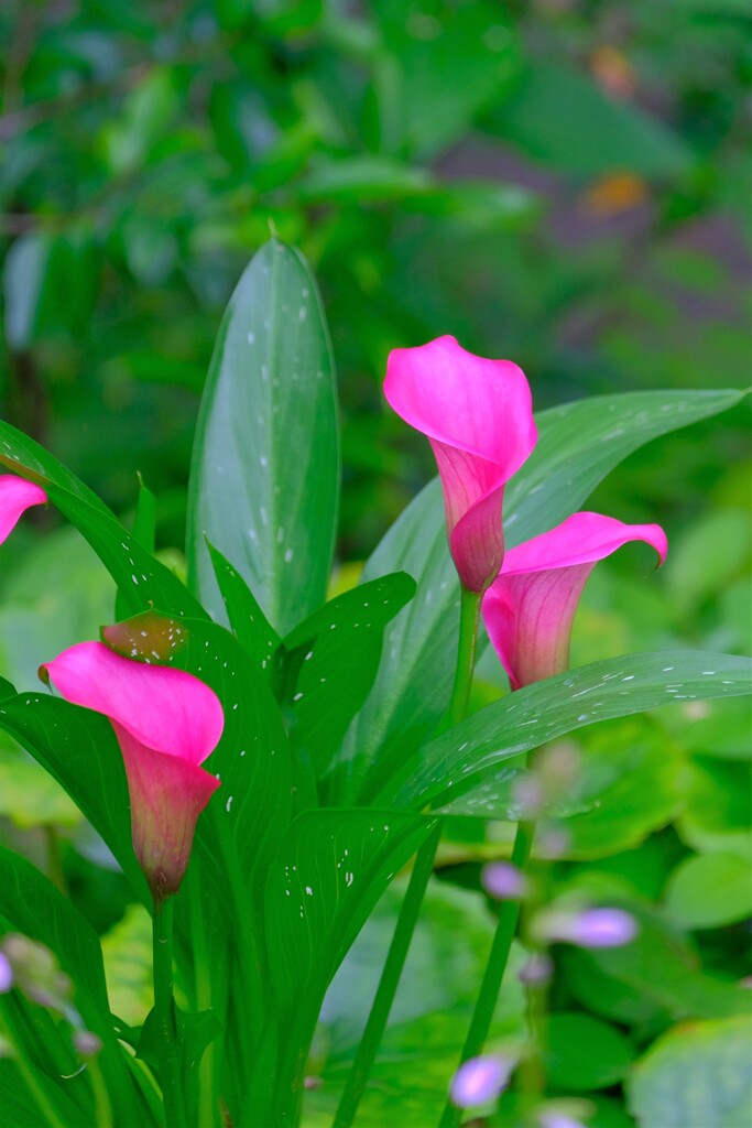 散歩の途中で。➁