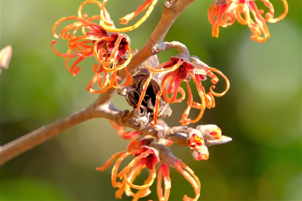 散歩の途中で。⑤