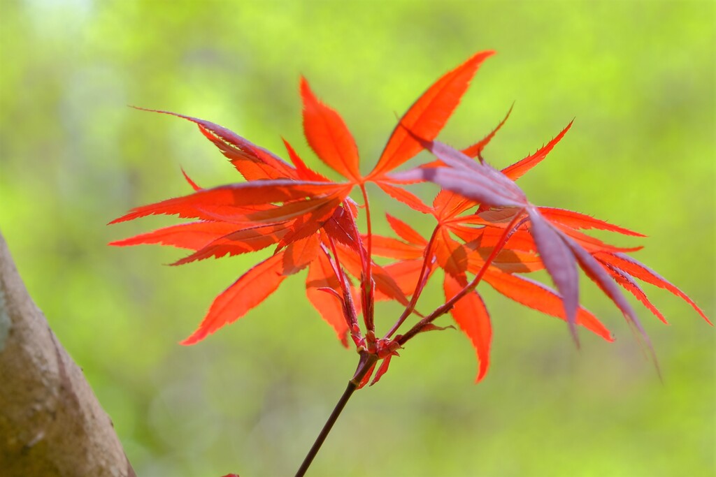 散歩の途中で。Ⅱ
