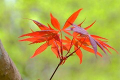 散歩の途中で。Ⅱ