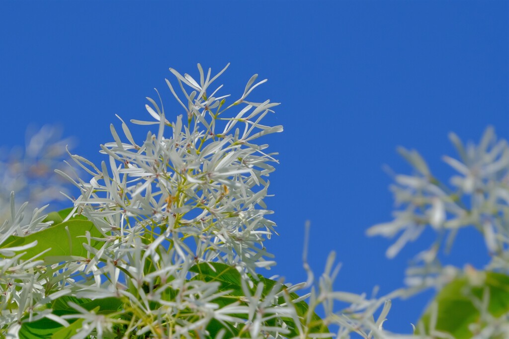 散歩の途中で。⑥