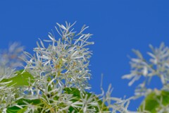 散歩の途中で。⑥