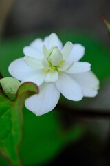 散歩の途中で。③