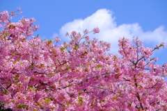 散歩の途中で。７