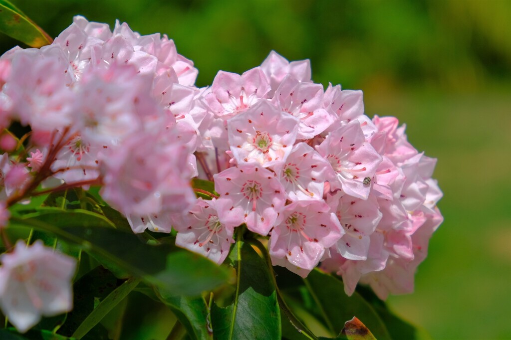 散歩の途中で。（１１）