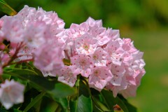 散歩の途中で。（１１）