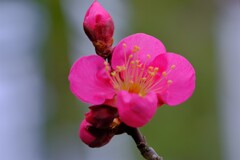 散歩の途中で。⑦